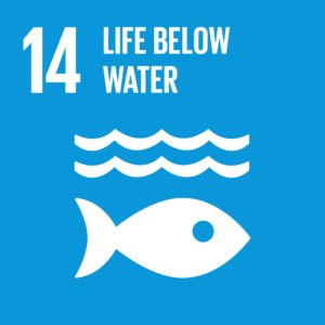 Life-below-Water.png
