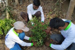 Tree-Plantation-Drive-2.jpg
