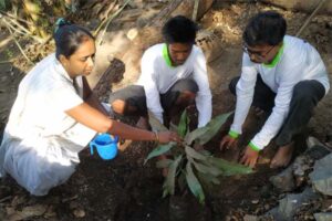 Tree-Plantation-Drive-3.jpg