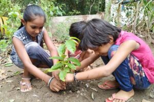 Tree-Plantation-Drive-5.jpg