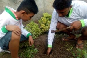 Tree-Plantation-Drive-9-1.jpg